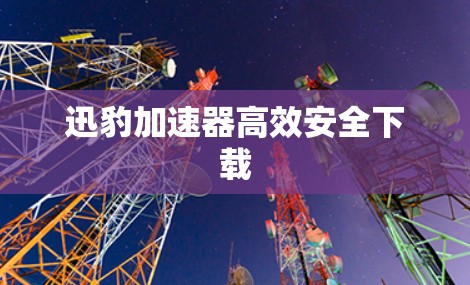 迅豹加速器高效安全下载
