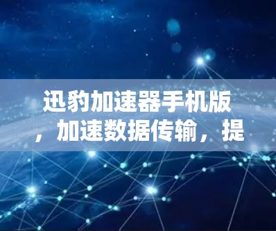 迅豹加速器手机版，加速数据传输，提升网络效率