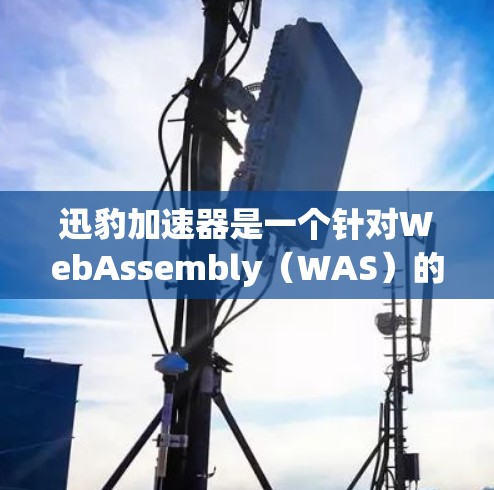 迅豹加速器是一个针对WebAssembly（WAS）的加速工具，提供多种节点供用户选择。以下是一些推荐的迅豹加速器节点推荐