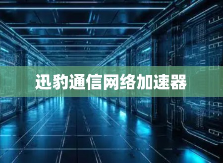 迅豹通信网络加速器