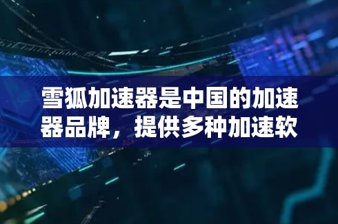 雪狐加速器是中国的加速器品牌，提供多种加速软件和工具，主要是针对游戏加速、数据传输和文件传输的需求。雪狐加速器在国际市场上也有所布局，提供国际版加速工具，满足国际用户的需求