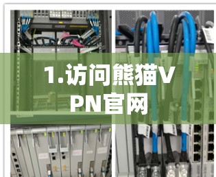 1.访问熊猫VPN官网