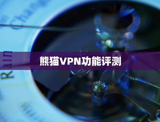 熊猫VPN功能评测