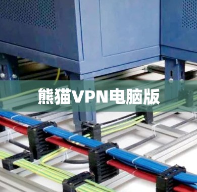 熊猫VPN电脑版