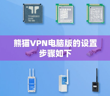 熊猫VPN电脑版的设置步骤如下
