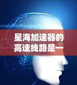 星海加速器的高速线路是一个复杂而多维度的技术系统，涉及多个领域的知识和整合。以下是对该主题的分步解释和总结