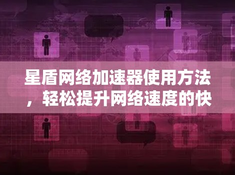 星盾网络加速器使用方法，轻松提升网络速度的快捷方式
