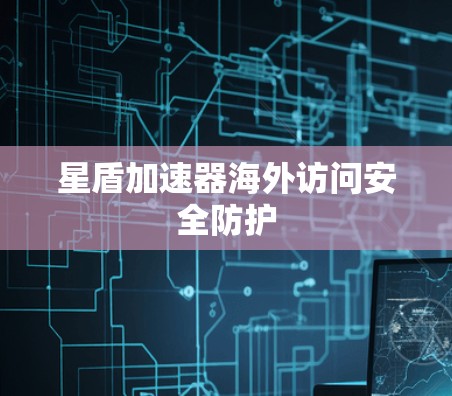 星盾加速器海外访问安全防护