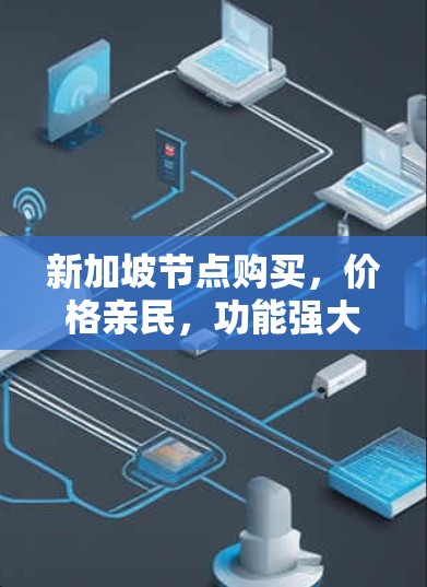 新加坡节点购买，价格亲民，功能强大，助力您的网络发展