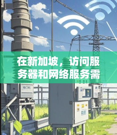 在新加坡，访问服务器和网络服务需要符合新加坡的网络安全和法律规定。新加坡有着严格的网络安全法律法规，所有在新加坡运营的服务器和网络服务必须遵守这些法规