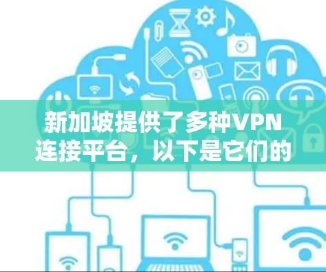 新加坡提供了多种VPN连接平台，以下是它们的主要信息