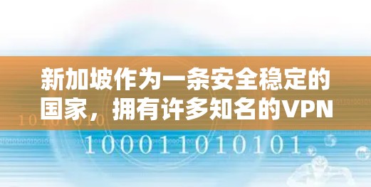 新加坡作为一条安全稳定的国家，拥有许多知名的VPN服务提供商。以下是关于新加坡VPN客户端的一些关键信息