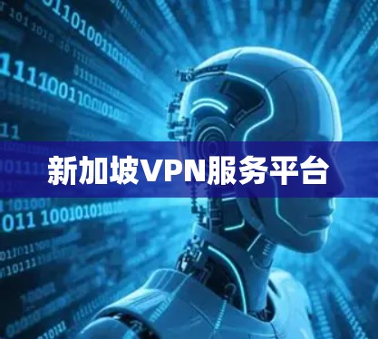 新加坡VPN服务平台