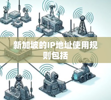 新加坡的IP地址使用规则包括
