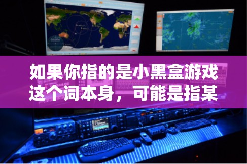 如果你指的是小黑盒游戏这个词本身，可能是指某些特定的工具或应用，用于游戏加速或优化。如果你能提供更多背景信息，我可以更好地帮助你解答