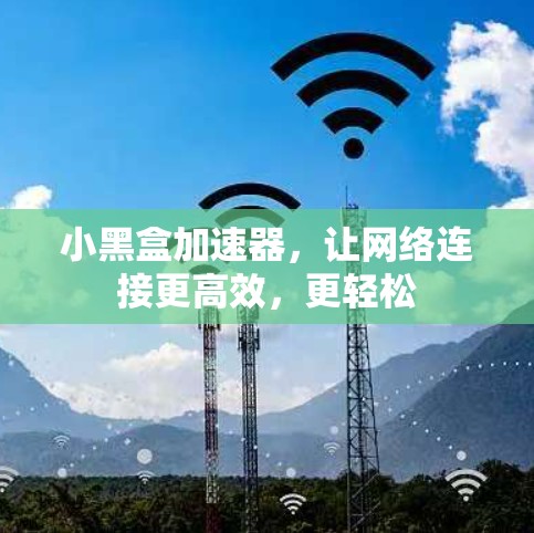 小黑盒加速器,让网络连接更高效,更轻松 小黑盒加速器,让网络连接更高效,更轻松