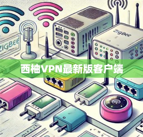 西柚VPN最新版客户端