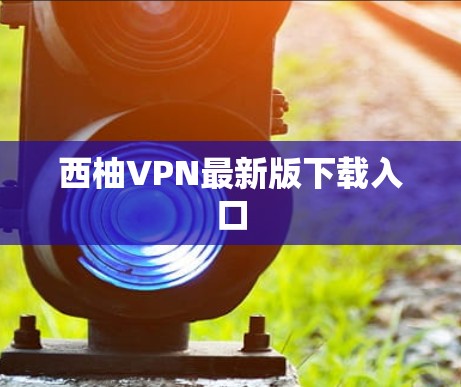 西柚VPN最新版下载入口
