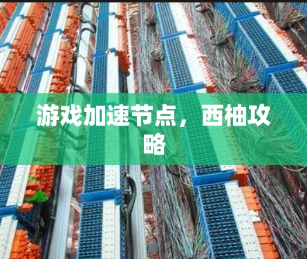 游戏加速节点,西柚攻略 游戏加速节点,西柚攻略