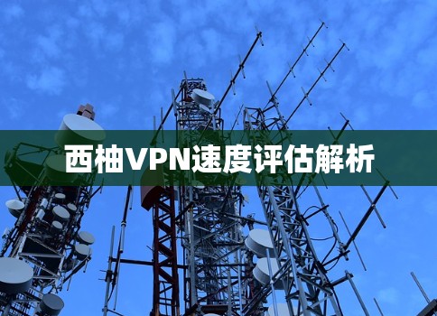 西柚VPN速度评估解析