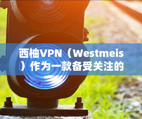 西柚VPN（Westmeis）作为一款备受关注的VPN服务，以其稳定的速度和丰富的功能而闻名。以下是对西柚VPN性能的测试和分析