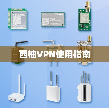 西柚VPN使用指南