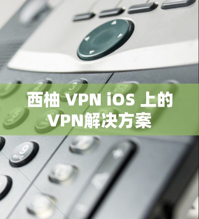 西柚 VPN iOS 上的VPN解决方案